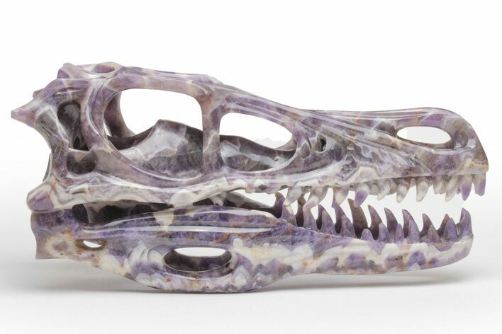 Polished Chevron Amethyst Dinosaur Crystal Skull - Ferocious! #218499